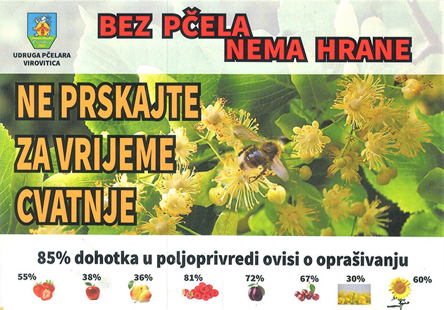 arhiva/novosti/virovitica-mala.jpg